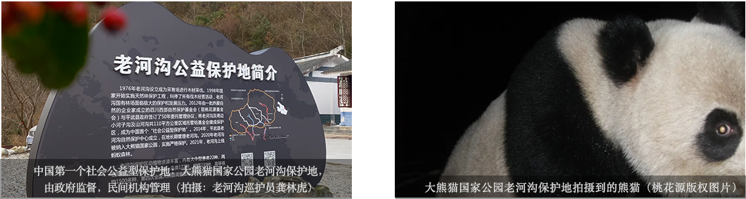 阎志.png